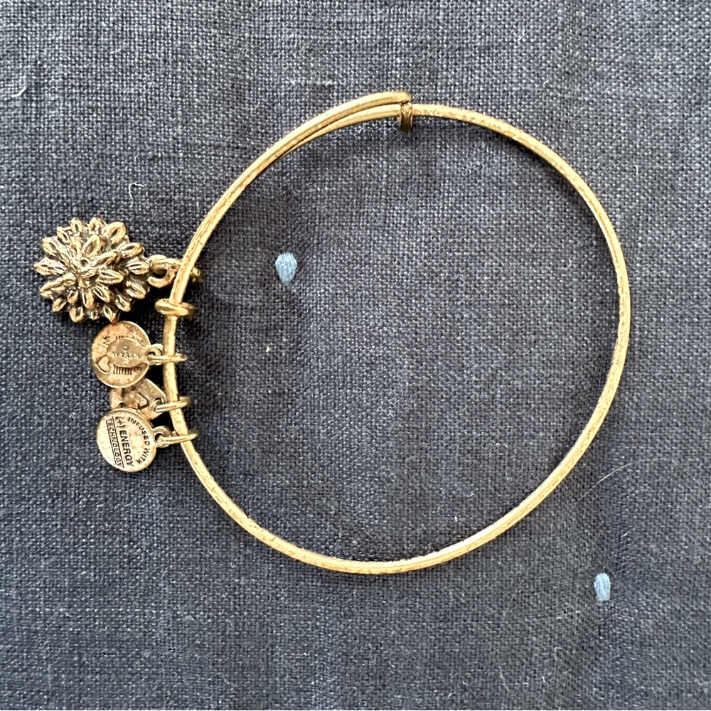 Alex and Ani bracelet